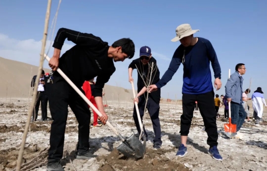 更是民族团结林,我们要传承弘扬胡杨精神,柯柯牙精神,为进一步改善