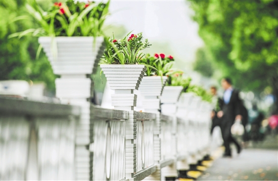 密渡桥路上，镶嵌着花卉盆栽的护栏，呈现一派迷人风情。