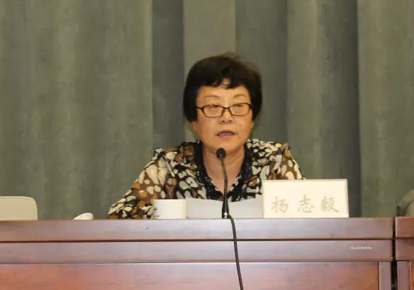 市委宣传部常务副部长,市文礼办主任杨志毅同志全面总结回顾了我市