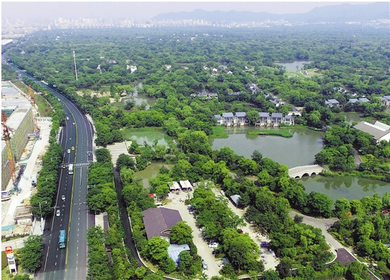 五常入城口毗鄰風光宜人的西溪國家溼地公園.