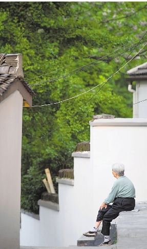 馒头山上换新颜