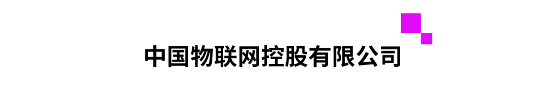 中国物联网控股有限公司.png