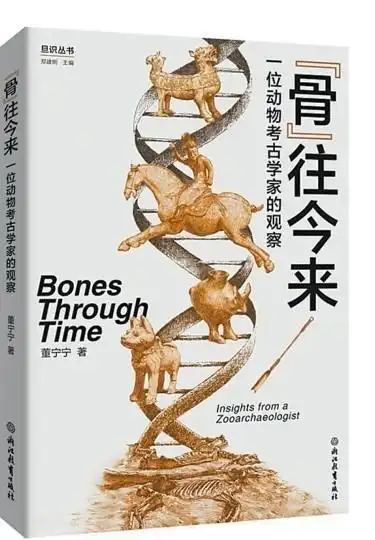 配图2